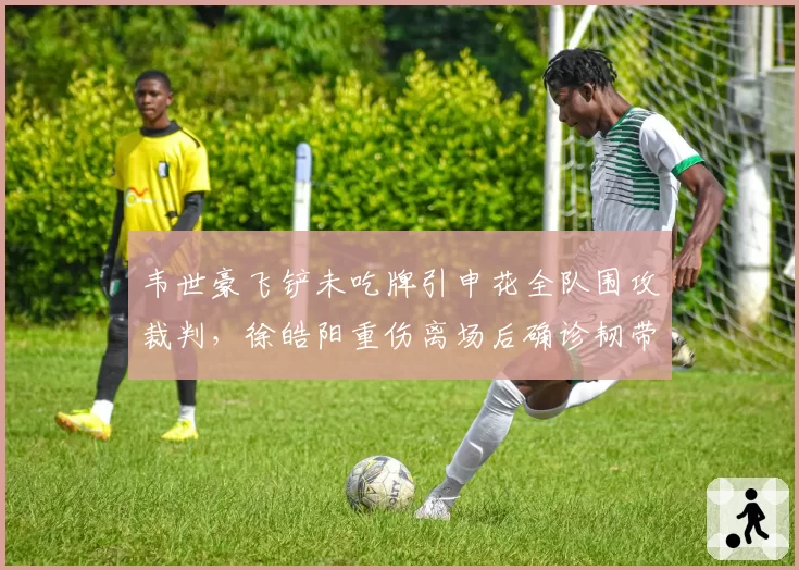 韦世豪飞铲未吃牌引申花全队围攻裁判，徐皓阳重伤离场后确诊韧带撕裂
