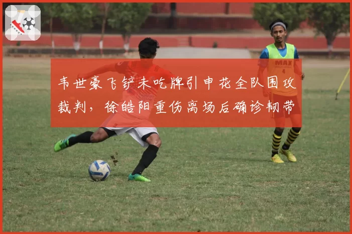 韦世豪飞铲未吃牌引申花全队围攻裁判，徐皓阳重伤离场后确诊韧带撕裂