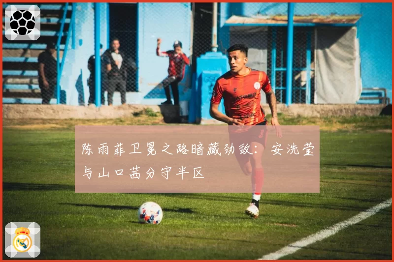 陈雨菲卫冕之路暗藏劲敌：安洗莹与山口茜分守半区