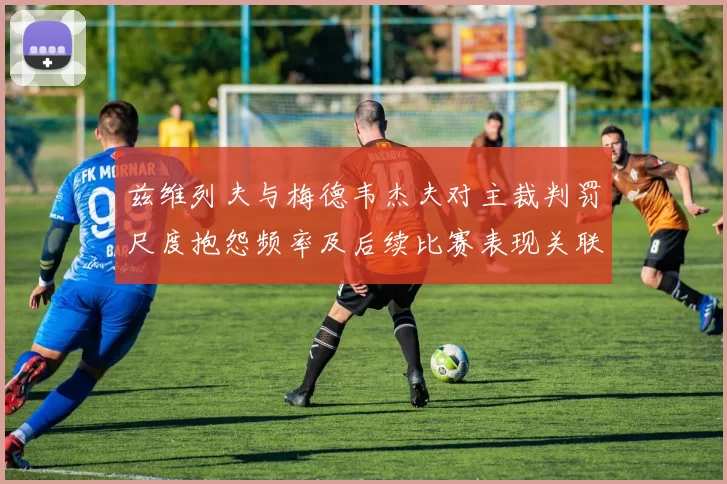 兹维列夫与梅德韦杰夫对主裁判罚尺度抱怨频率及后续比赛表现关联性分析