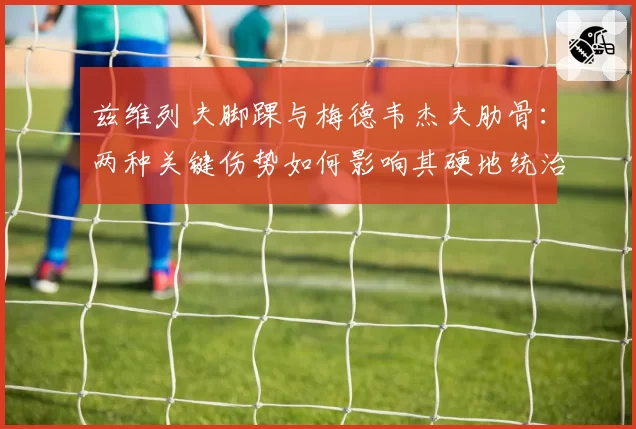 兹维列夫脚踝与梅德韦杰夫肋骨：两种关键伤势如何影响其硬地统治力？