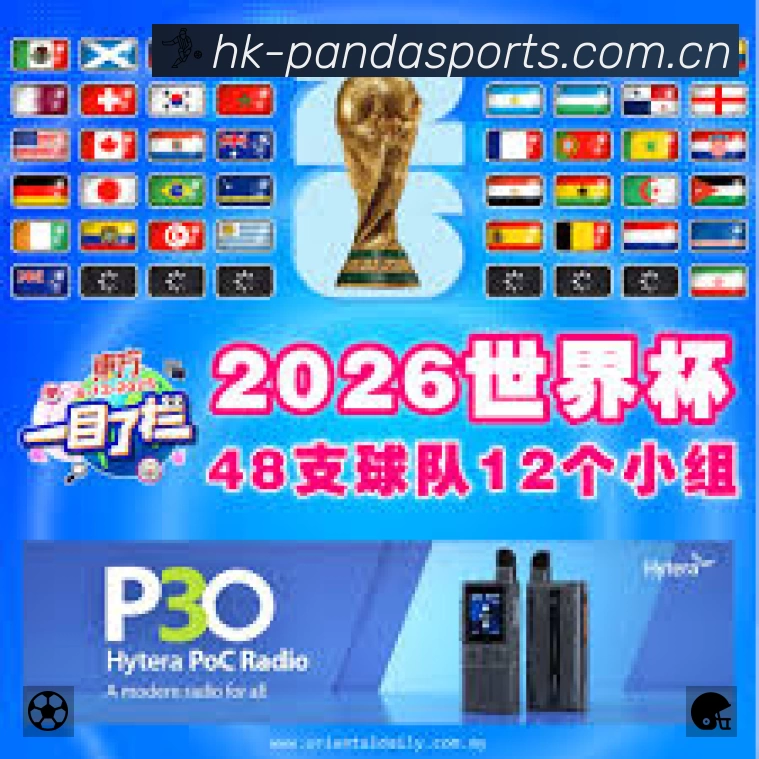 全球访问热力分布图